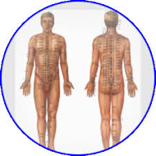 DIPLOMA IN ACUPUNCTURE & AYURVEDA